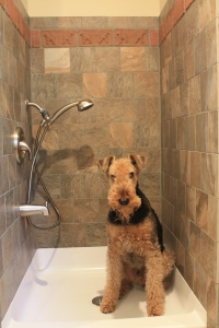 Custom brick tiles in dog shower